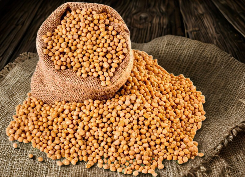 Soybean Meal